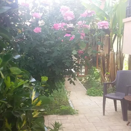 Border House * Svilengrad