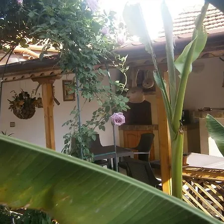 Guest house Border House Svilengrad