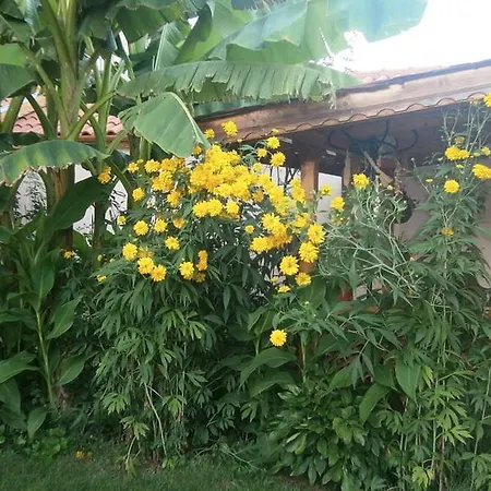 Guest house Border House Svilengrad
